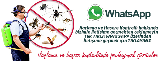 Whatsapp Destek Hattı